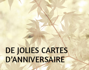 Jolie Carte Anniversaire Notre Selection De Jolies Cartes Anniversaire Originales A Personnaliser