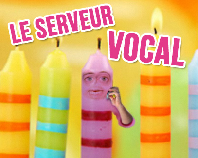 Le Serveur Vocal Carte Anniversaire Animée Tous Mes Voeuxcom